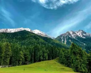 Delighted Pahalgam