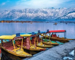 Delightful Kashmir
