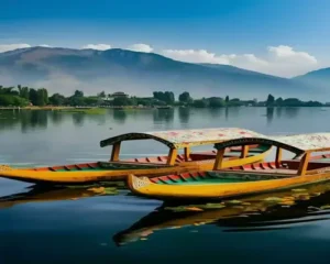 Glimpses of Kashmir