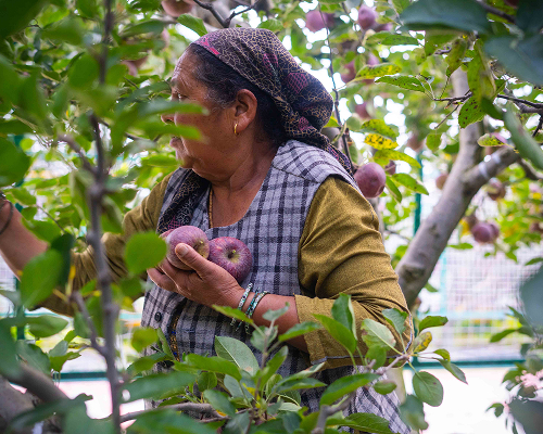 hidden-gems-kinnaur-special